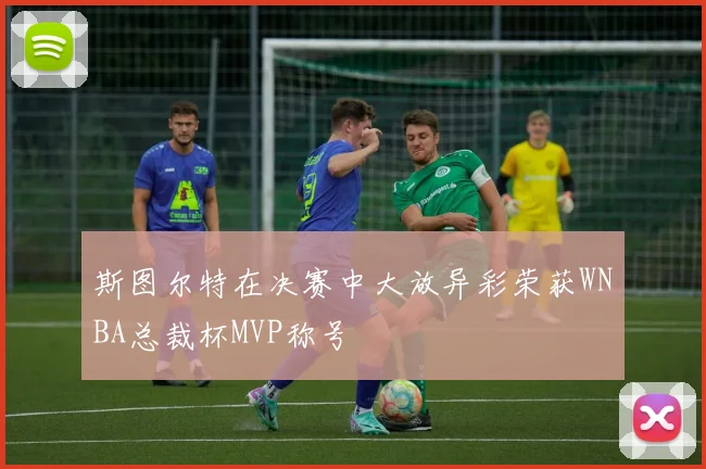 斯图尔特在决赛中大放异彩荣获WNBA总裁杯MVP称号
