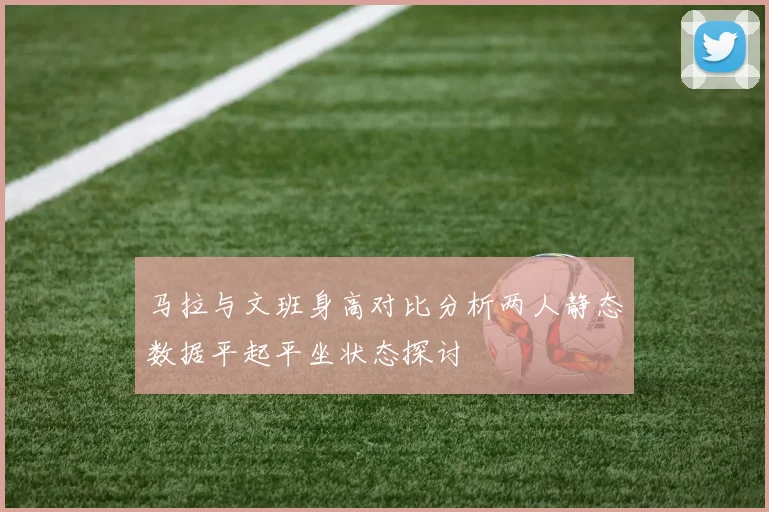 马拉与文班身高对比分析两人静态数据平起平坐状态探讨