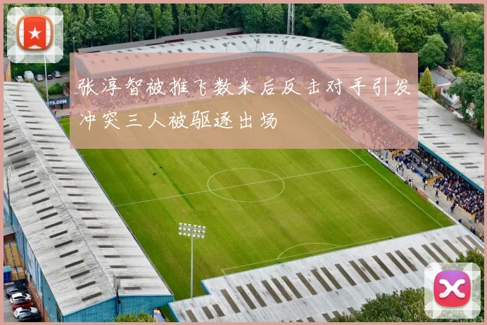 张淳智被推飞数米后反击对手引发冲突三人被驱逐出场