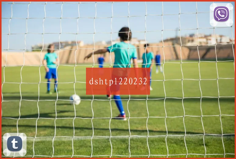 dshtpl220232