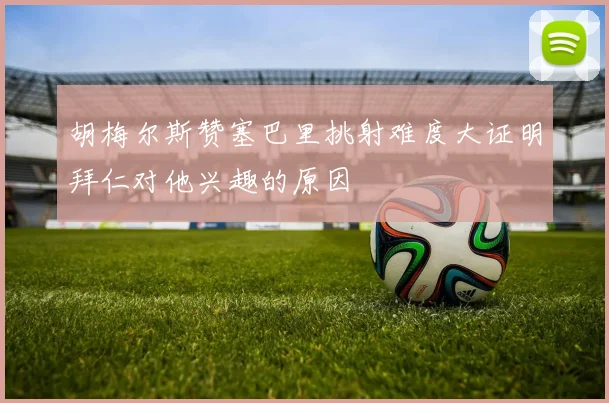 胡梅尔斯赞塞巴里挑射难度大证明拜仁对他兴趣的原因